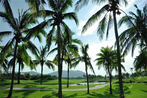 南京共享童车加盟费多少钱