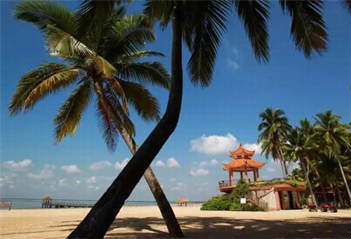 开元米粉在锡林浩特市知名度大吗