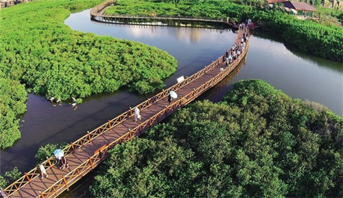 蒸味包子加盟会亏钱吗，包子有没有什么不错的品牌推荐