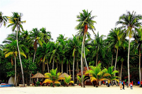 加盟奥德莱汉堡炸鸡品牌口碑怎么样，加盟汉堡有哪些值得投资的品牌