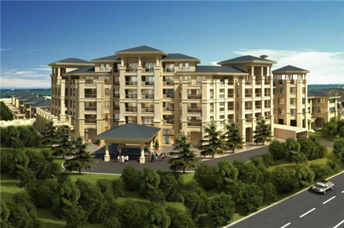 芹菜杏鲍菇炒海参怎么炒（杏鲍菇和芹菜怎么炒好吃）