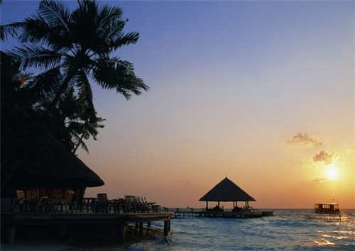 树苗销售公司名字取名（卖树苗的公司名称）