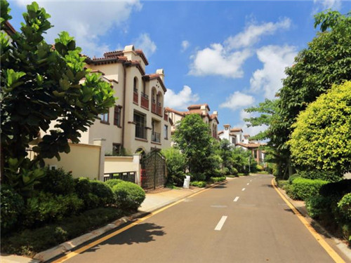 日照市巨峰包子是加盟店吗