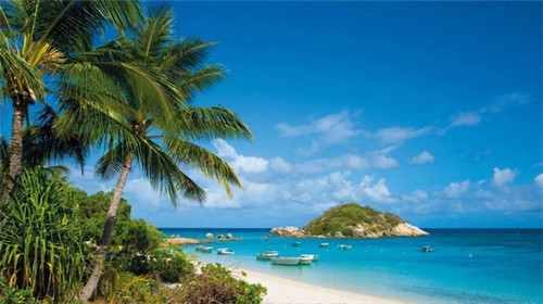 在满洲里市加盟奶茶加盟店需要多少钱哪家实惠，阿叔熬奶茶在满洲里市奶茶市场潜力怎么样