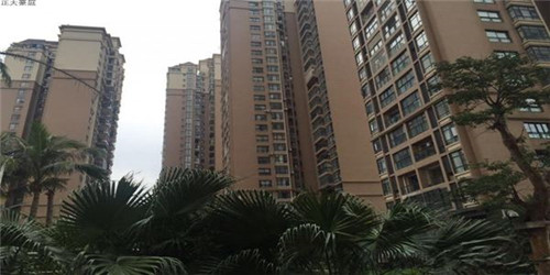 在湟源县加盟我的酸奶牛有前景吗