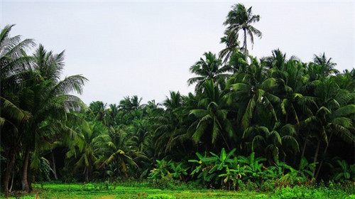 在江口县加盟喵鲜生小海鲜有什么优势，江口县的网红小海鲜加盟品牌是哪个