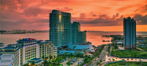 我在努力的活着什么歌（我在努力的活着什么歌曲）